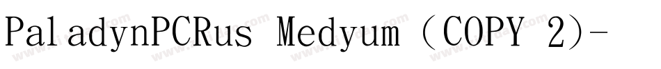 PaladinPCRus Medium (COPY 2)字体转换